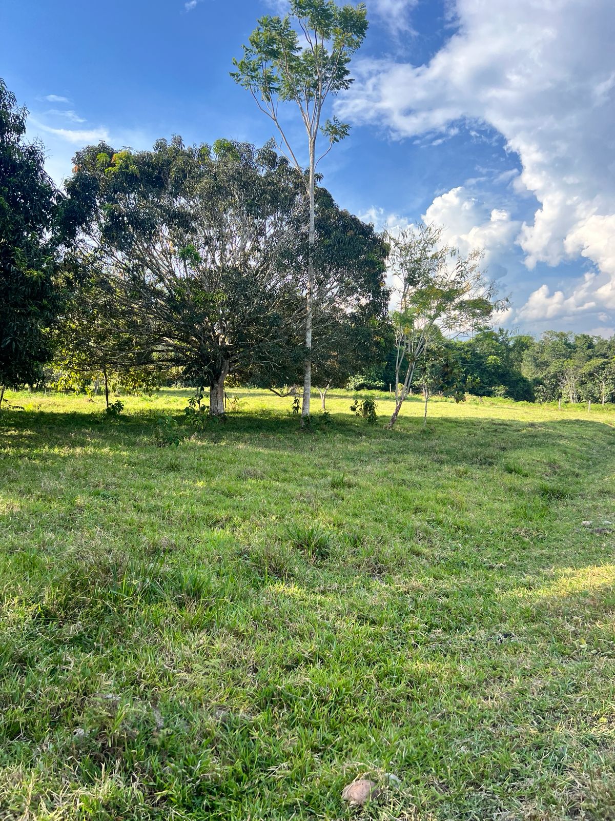 Inmobiliaria Arias